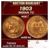1903 Indian Cent . 1c ms66 rd SEGS
