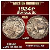 1924-p Buffalo Nickel 5c ms65 SEGS