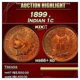 1899 Indian Cent . 1c ms66+ rd SEGS