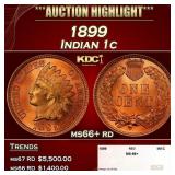 1899 Indian Cent . 1c ms66+ rd SEGS