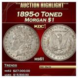 1895-o Morgan Dollar Toned $1 ms61 USCG