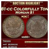 1881-cc Morgan Dollar Colorfully Toned $1 ms66+ SE
