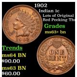 1902 Indian 1c Grades Select+ Unc BN