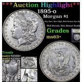 *Highlight* 1895-o Morgan $1 Graded Select+ Unc