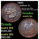 1891 Indian 1c Grades Choice Unc BN