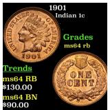 1901 Indian 1c Grades Choice Unc RB