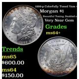 1889-p Colorfully Toned Vam 49 Morgan $1 Grades Ch