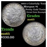 1902-o Colorfully Toned Morgan $1 Grades GEM Unc