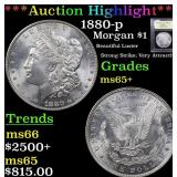 *Highlight* 1880-p Morgan $1 Graded GEM+ Unc