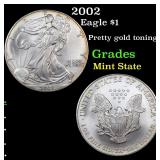 2002 Eagle $1 Grades Mint State