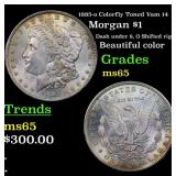 1885-o Colorfully Toned Vam 14 Morgan $1 Grades GE