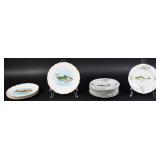 14 Porcelain  Fish Plates