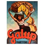 Zucca Lithograph Galup Panettone