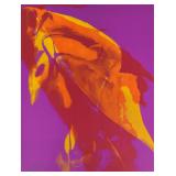 Paul Jenkins Abstract Screenprint, 1962