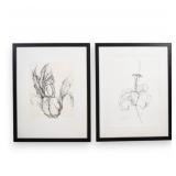 Sydney McGinley Pair of Botanical Drawings Iris...