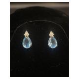 Aquamarine Colored Earrings
