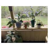 Fake Plant Decor