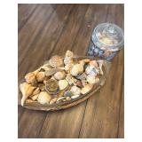 Shell Decor