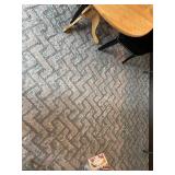 Large Area Rug