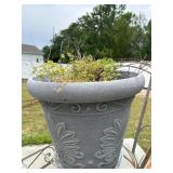 Plant and Planters Lot
