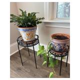 Plants and Plant Stands