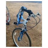 Avalon Bike