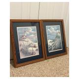 Framed Pair of Coastal Artwork
