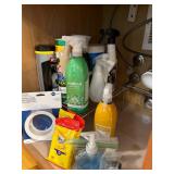 Kitchen sink cabinet contents