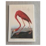 Flamingo Artwork