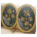 DRIED FLOWER PICTURES