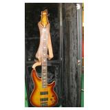 SCHECTER GUITAR