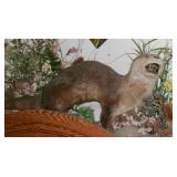 OTTER FULL MOUNT