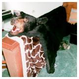 BLACK BEAR RUG