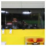 Sharp 48" Flat Screen Televisions w/Roku TV