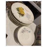 Vtg plates
