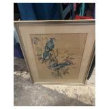Vintage blue jays matted and framed 26x30