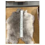 Authentic grey white rabbit skin