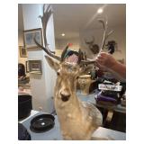 White fallow deer taxidermy mount with palmate
