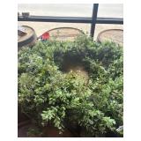 Two large greenery wreaths 35 inches