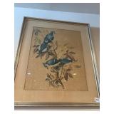30ï¿½ x 26ï¿½  framed art print Columbia Jay
