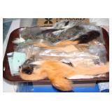 NS: FLY FISHING HACKLE TRAY #2