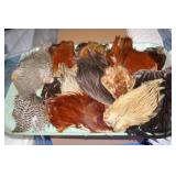 NS: FLY FISHING HACKLE TRAY #5