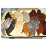NS: FLY FISHING HACKLE TRAY #7