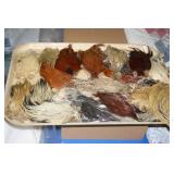 NS: FLY FISHING HACKLE TRAY #9