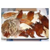 NS: FLY FISHING HACKLE TRAY #11