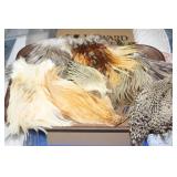 NS: FLY FISHING HACKLE TRAY #14