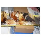 NS: FLY FISHING HACKLE TRAY #20