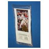 S: JIM PALMER LAPEL PIN