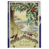 SHIP: 1908 JULIUS BIEN NEW YEARS POSTCARD