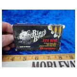 20x 223 ammo